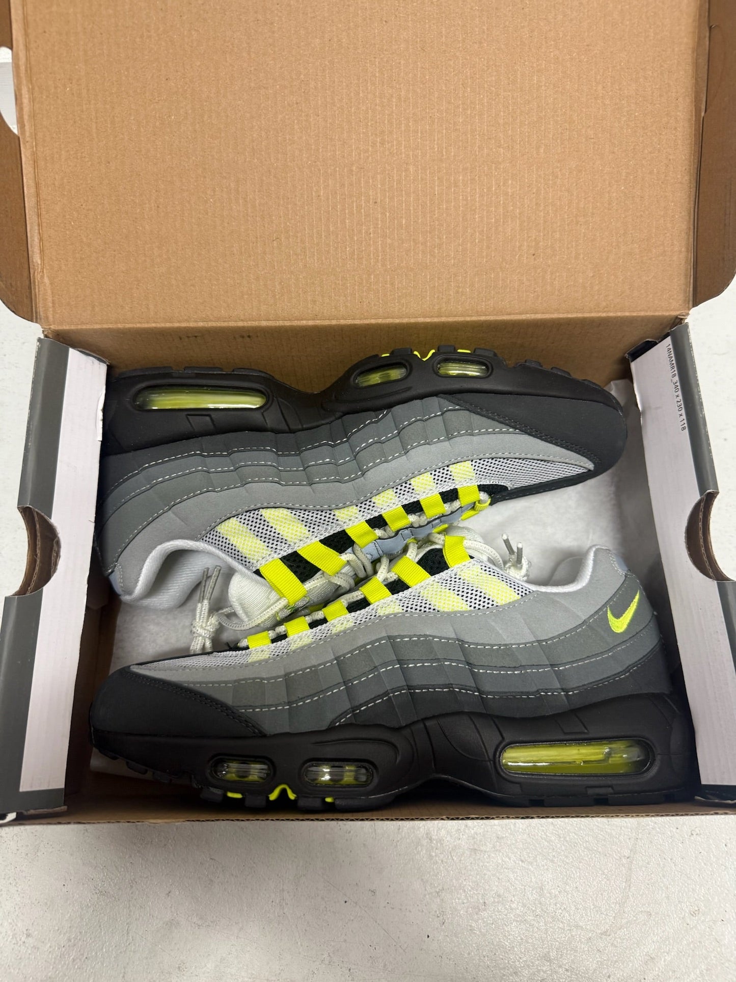 AM95 - Neon