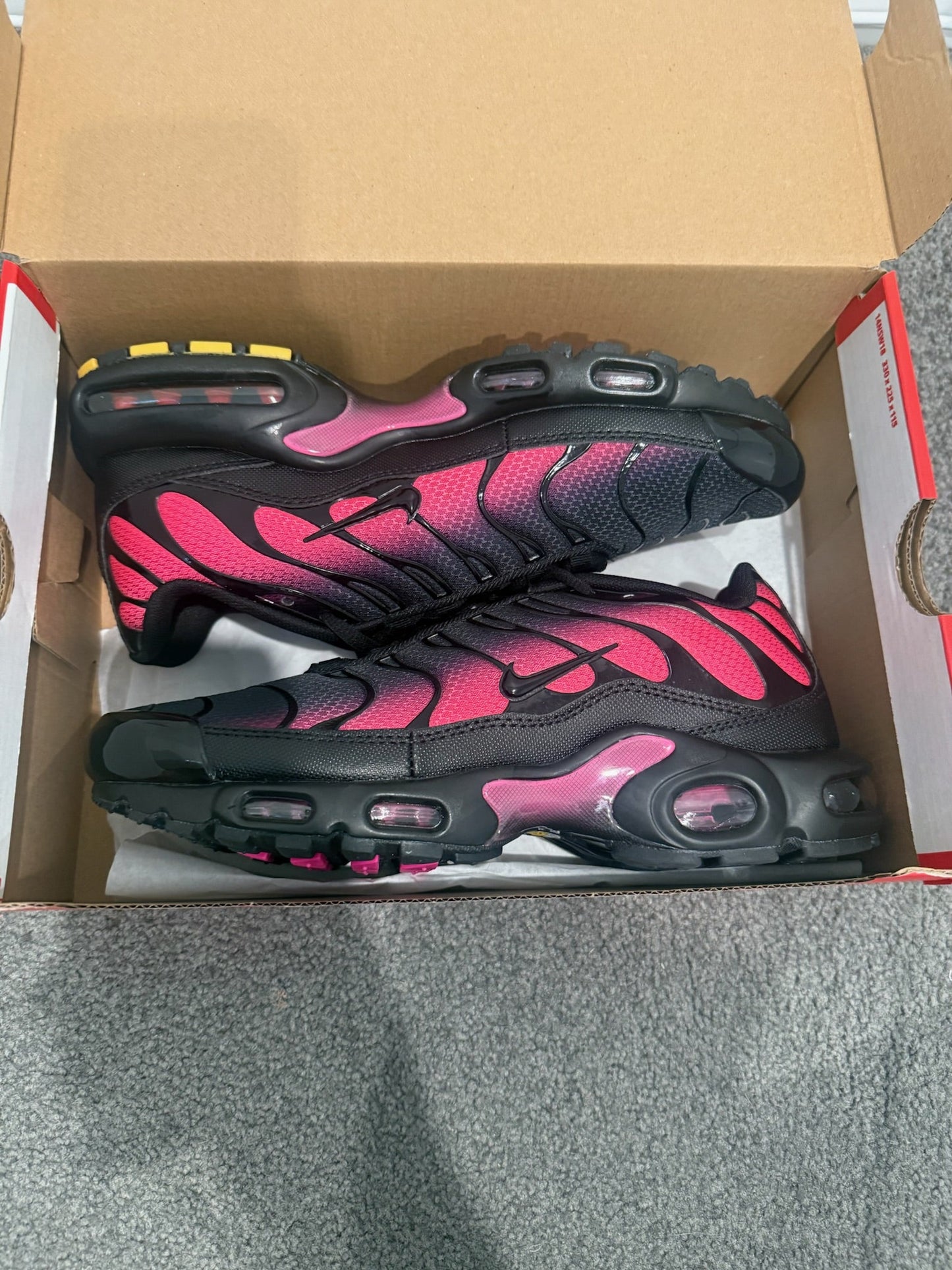 TN - Pink Fade