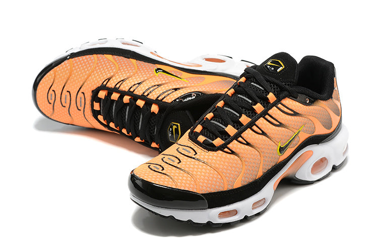 AIR MAX PLUS TN 1