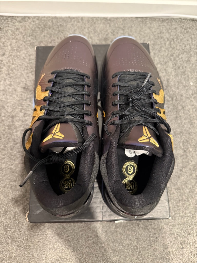 KB5 - Year Of Mamba Eggplant