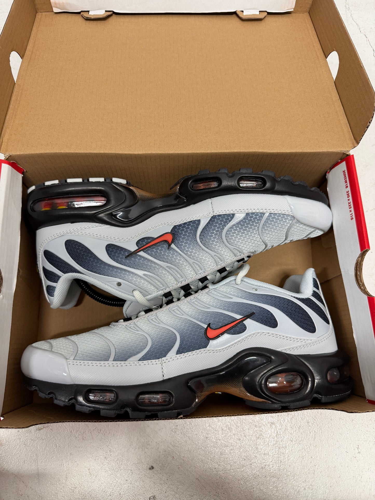 TN - Wolf Grey Red