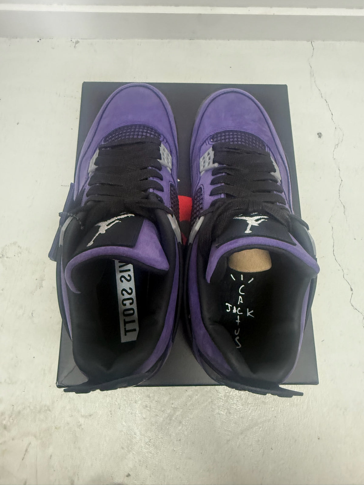 J4 - Travis Raptors F&F