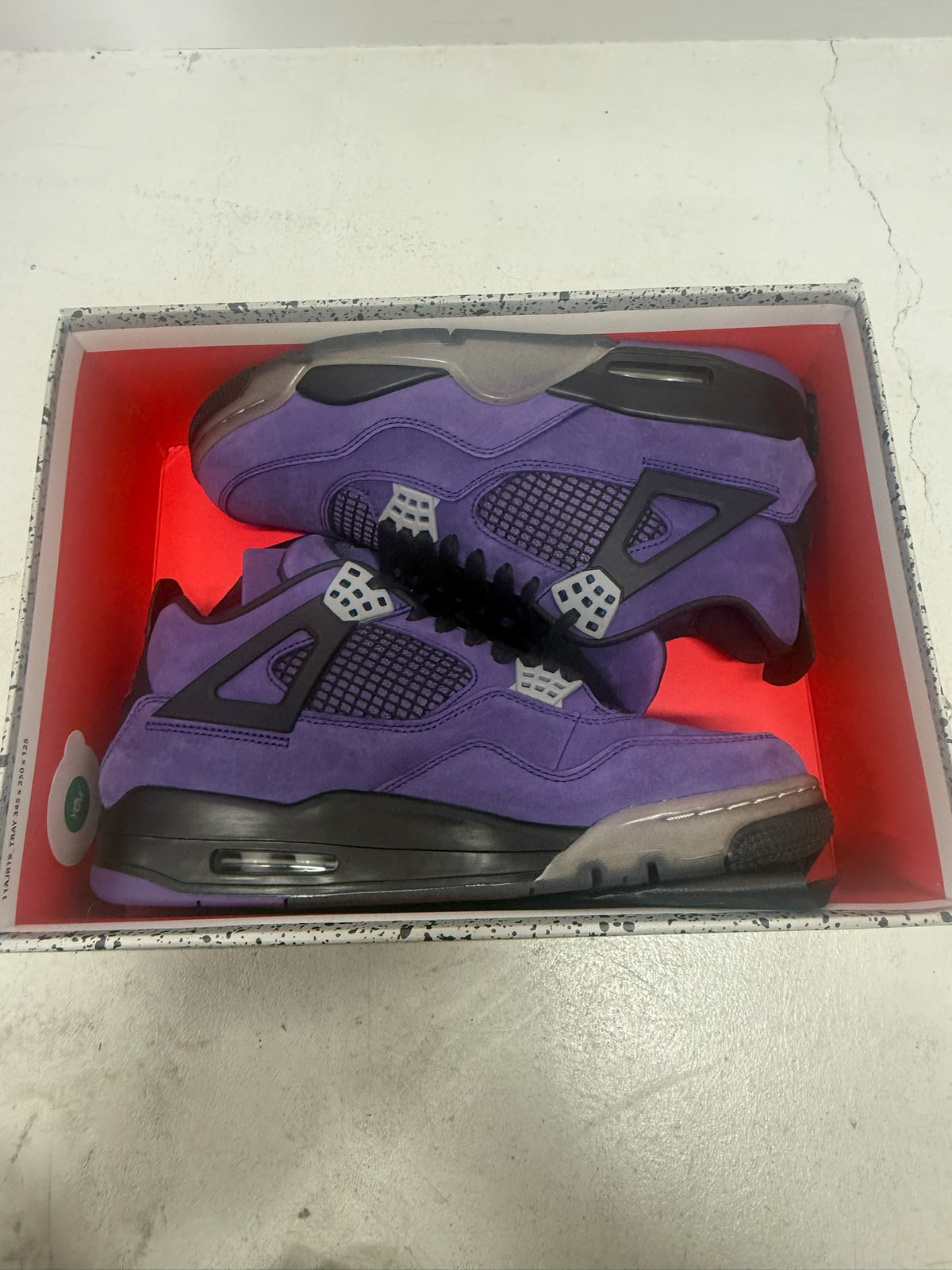 J4 - Travis Raptors F&F