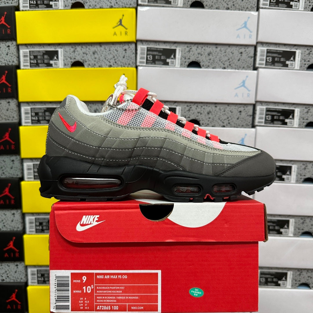 AM95