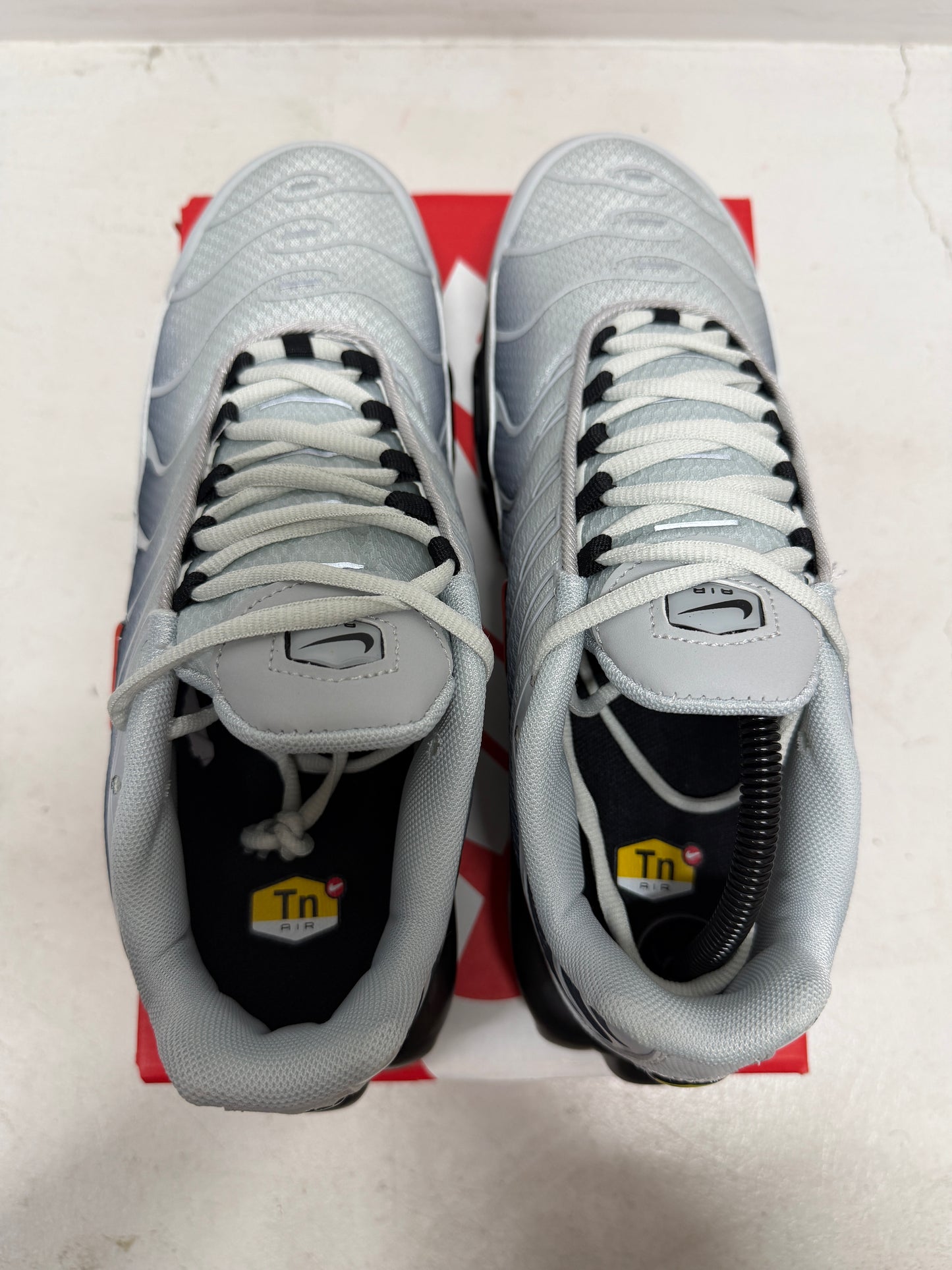 TN - Wolf Grey Red