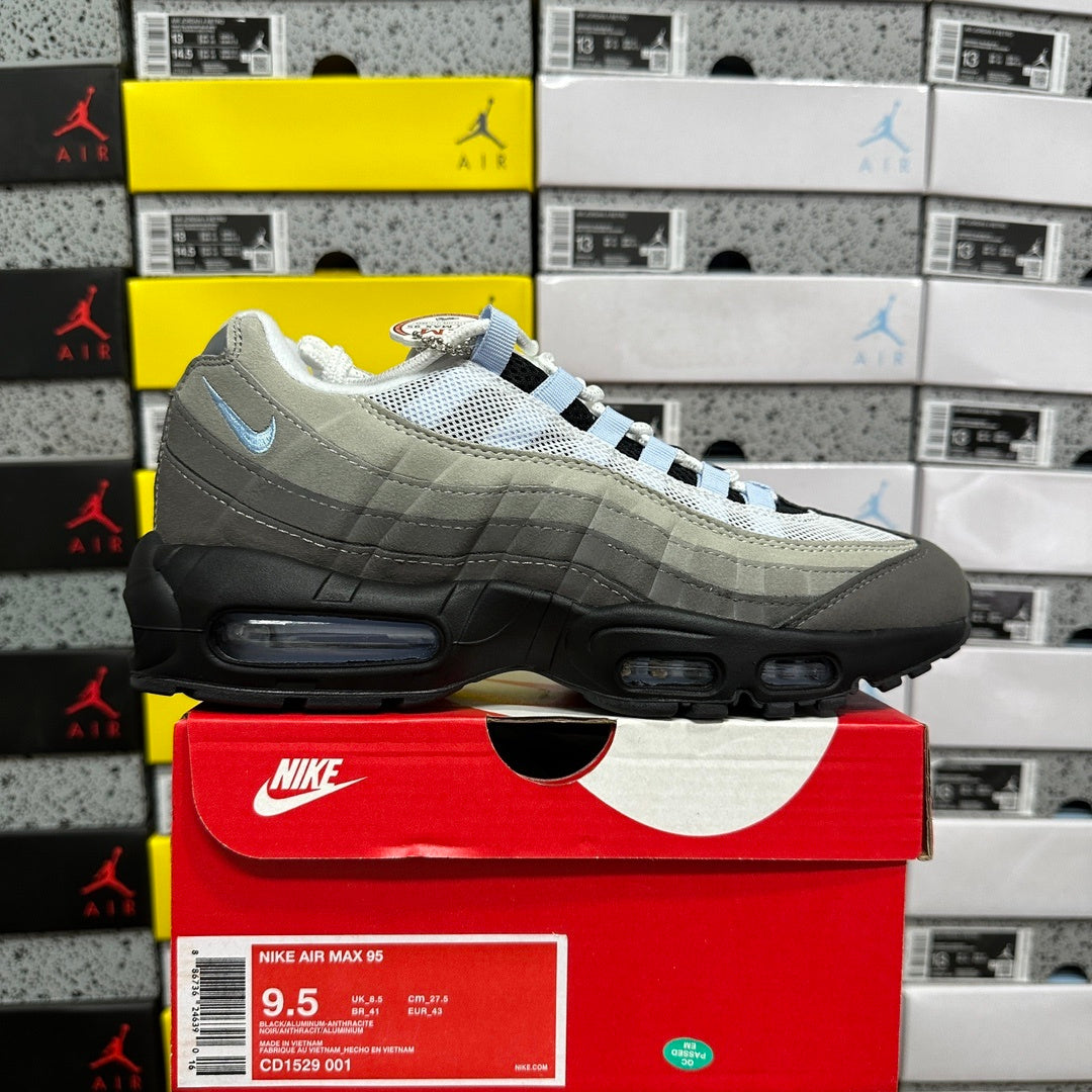 AM95
