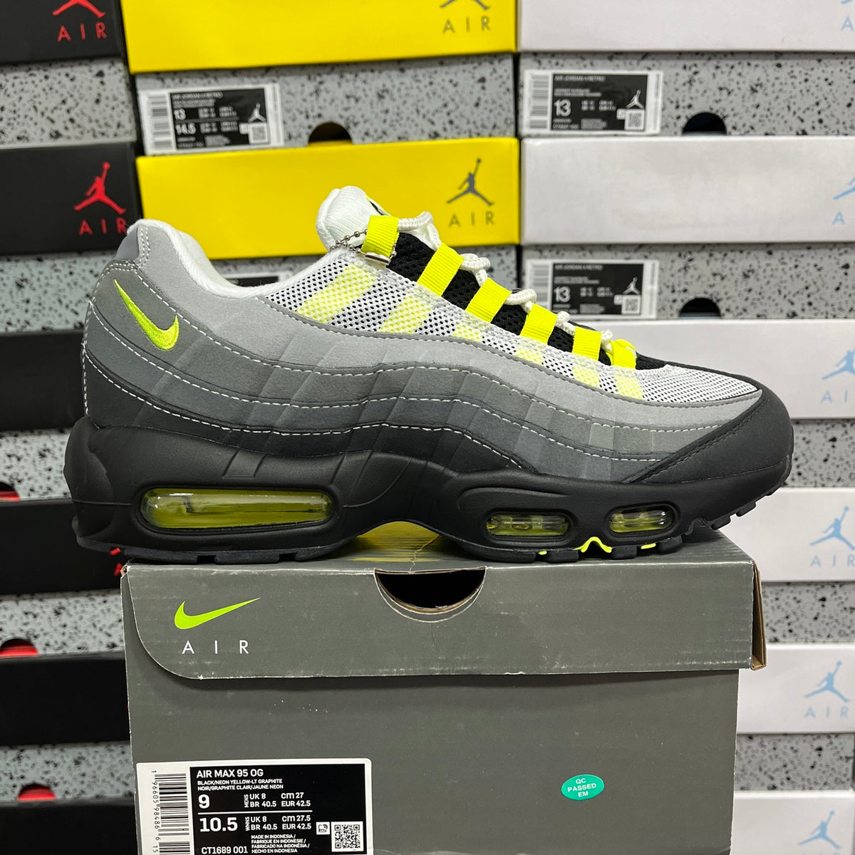 AM95