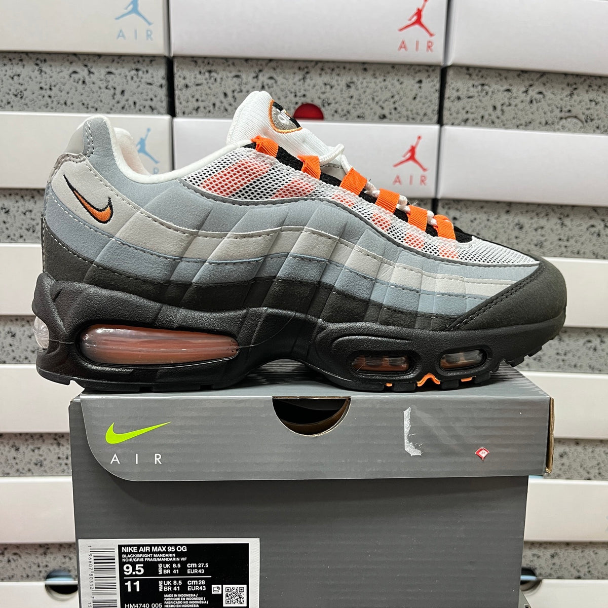 AM95