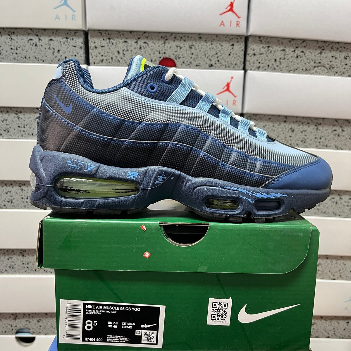 AM95