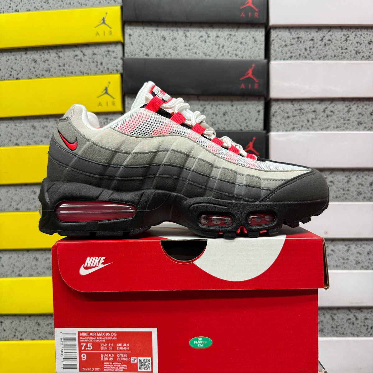 AM95