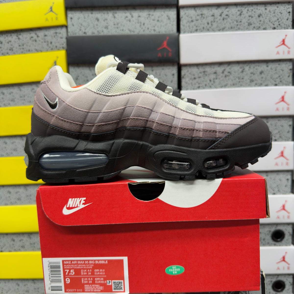 AM95