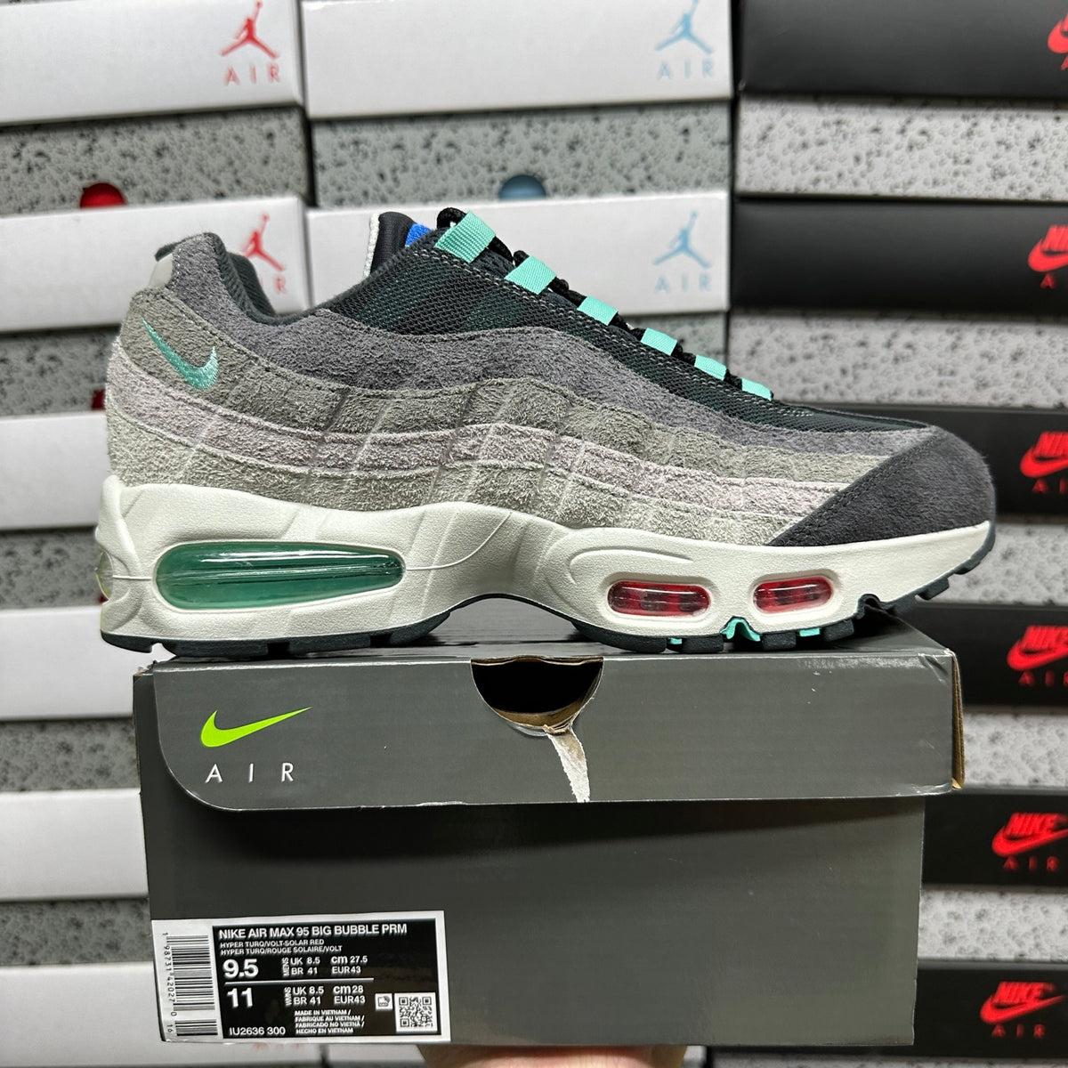 AM95