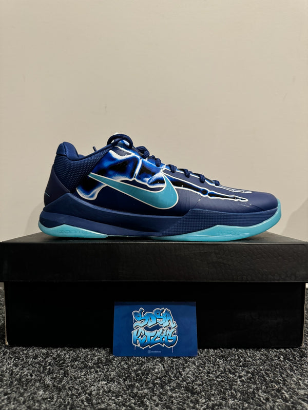 KB5 - Xray