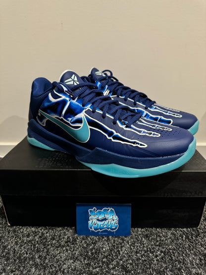 KB5 - Xray