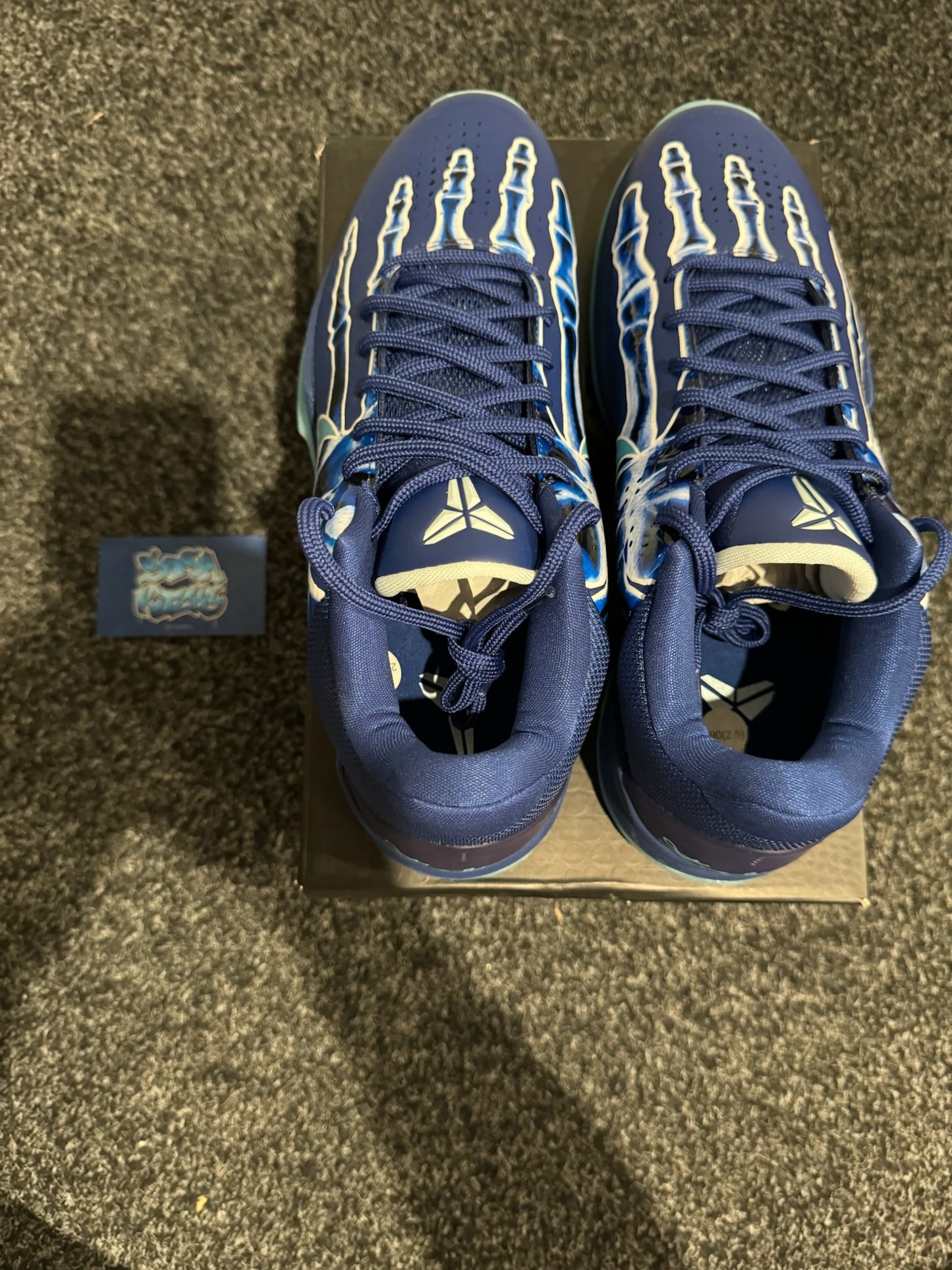 KB5 - Xray