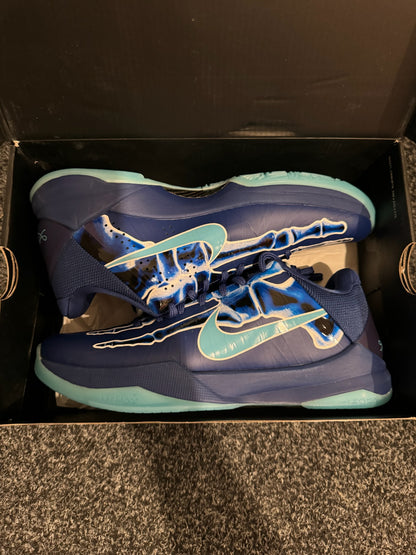 KB5 - Xray