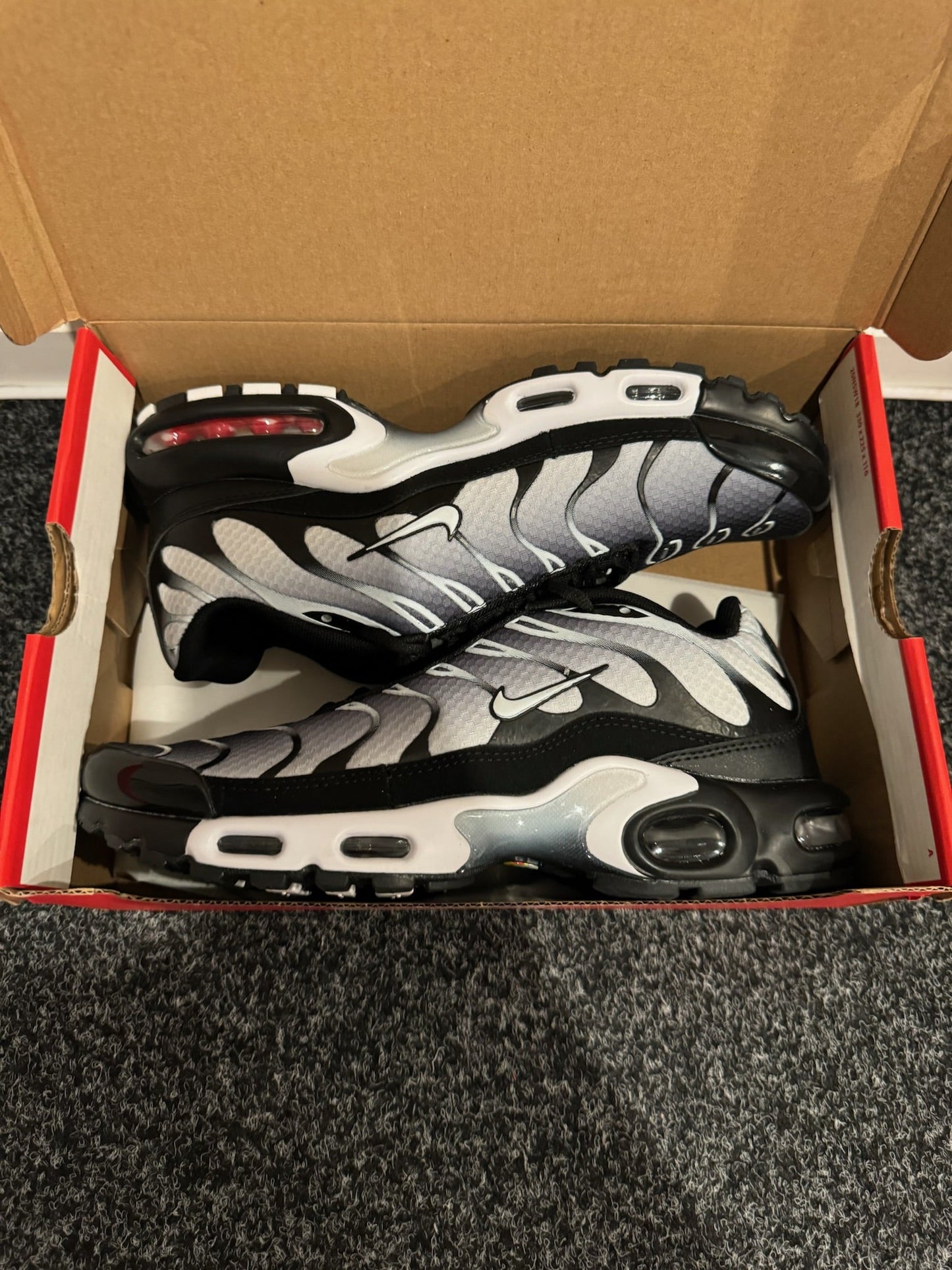 TN - Black Grey