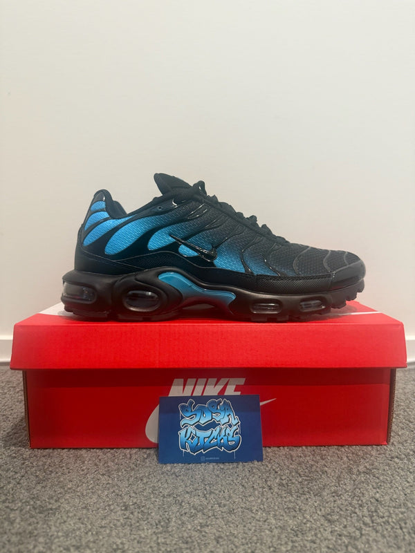 TN - Blue Fade