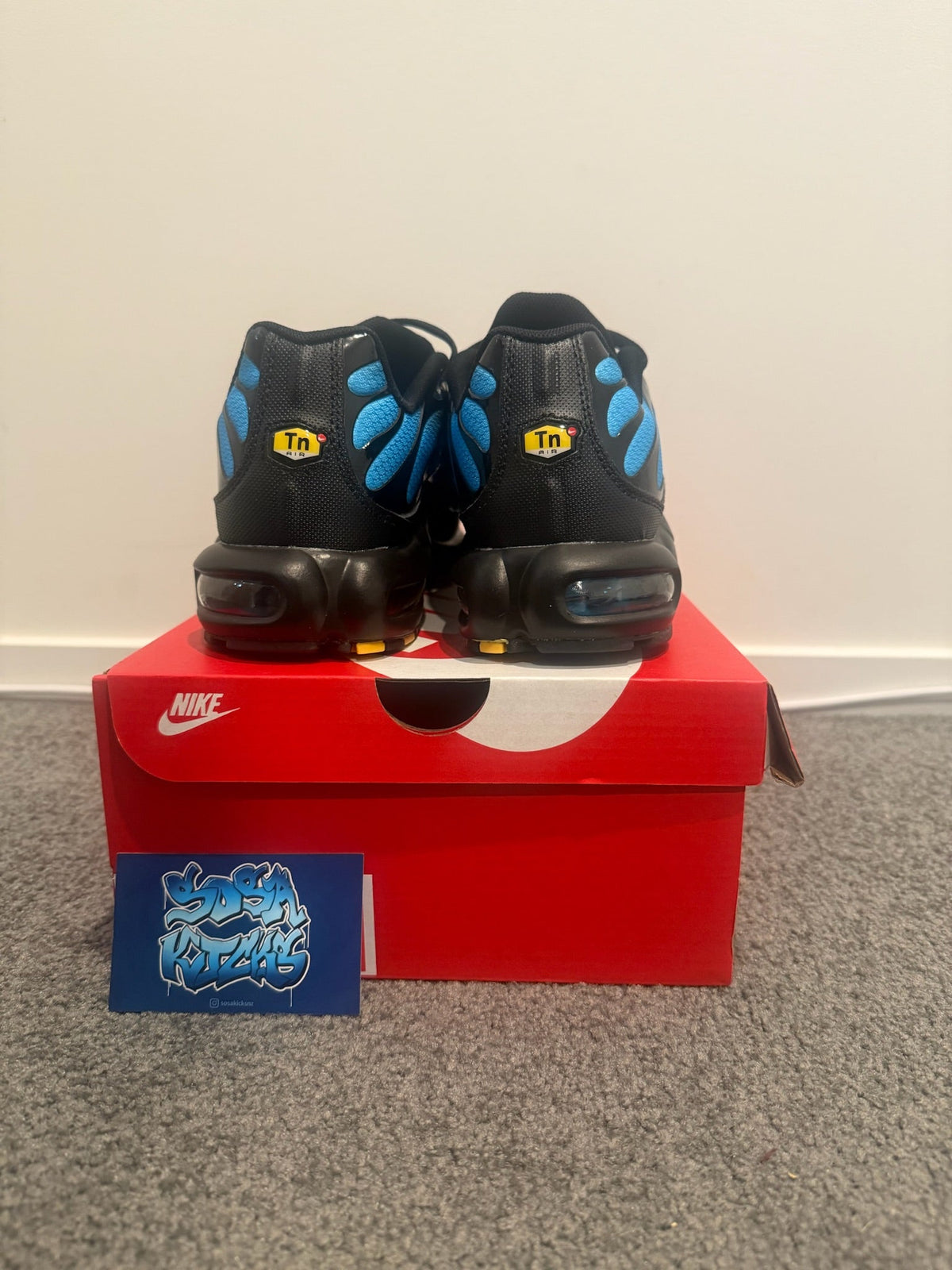 TN - Blue Fade
