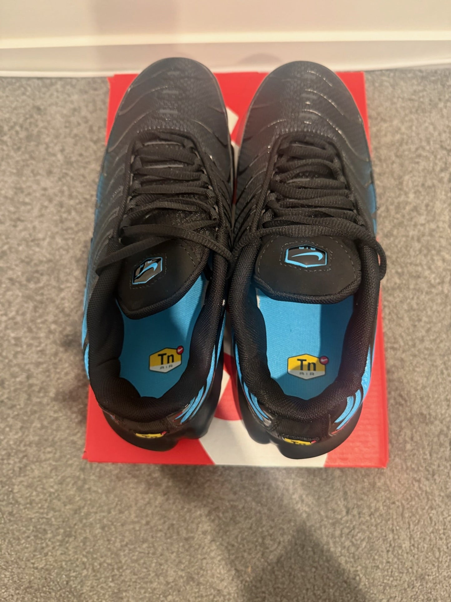 TN - Blue Fade
