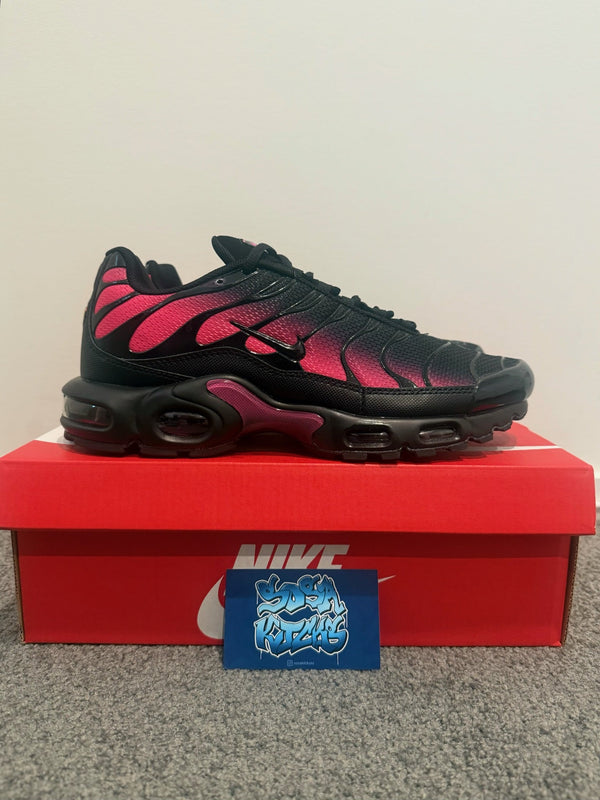 TN - Pink Fade
