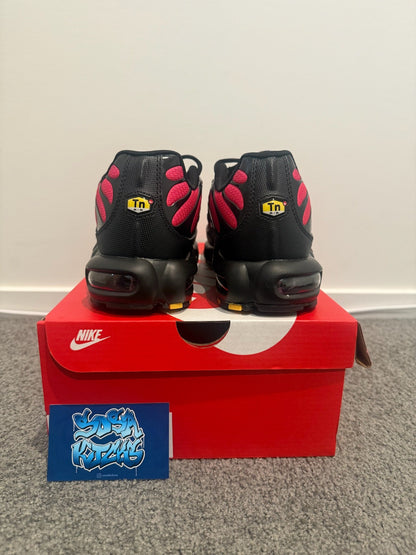 TN - Pink Fade