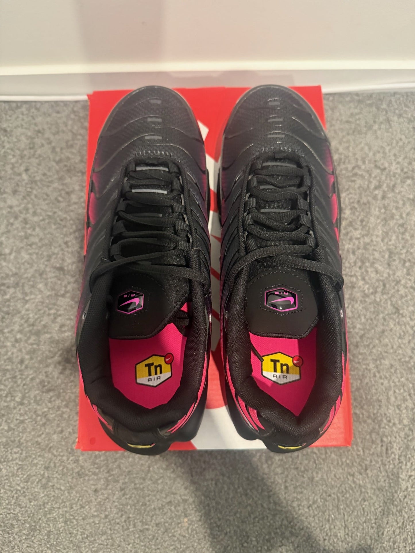 TN - Pink Fade