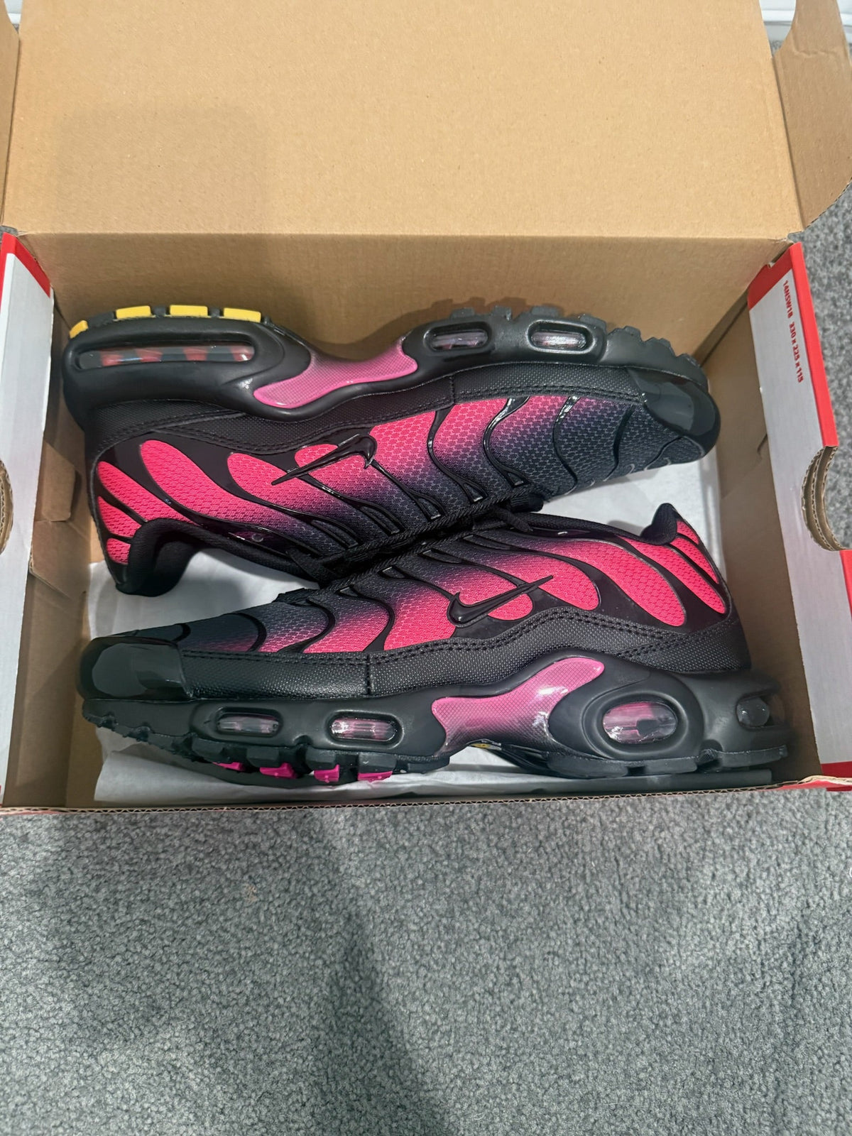TN - Pink Fade