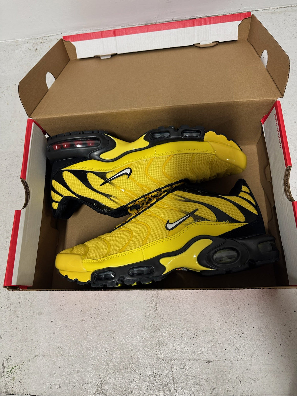 TN - Yellow